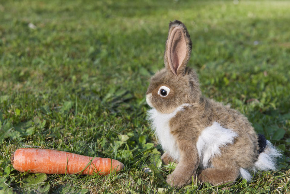 Stuffed rabbit sitting on grass with carrot