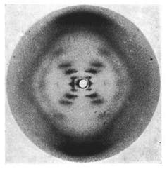 <span class="caption">Photograph 51.</span> <span class="attribution"><a class="link " href="https://en.wikipedia.org/wiki/Photo_51#/media/File:Photo_51_x-ray_diffraction_image.jpg" rel="nofollow noopener" target="_blank" data-ylk="slk:Wikipedia;elm:context_link;itc:0;sec:content-canvas">Wikipedia</a></span>