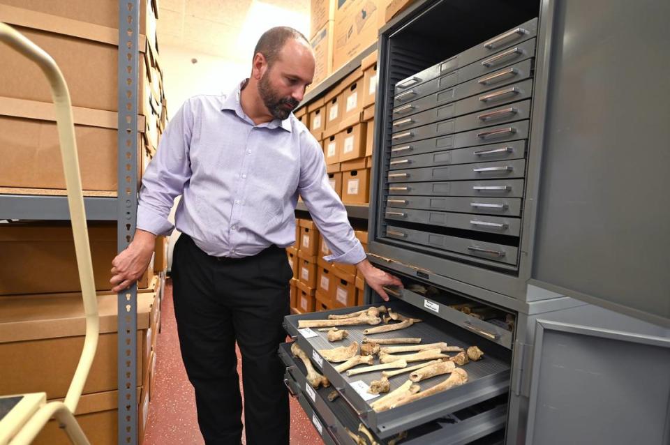 Nicholas Passalacqua, the Western Carolina University director of forensic anthropology opens a drawer of containing skeletal remains on Friday, September 8, 2023. The university has a Forensic Osteology Research Station (FOREST) in Cullowhee, NC.