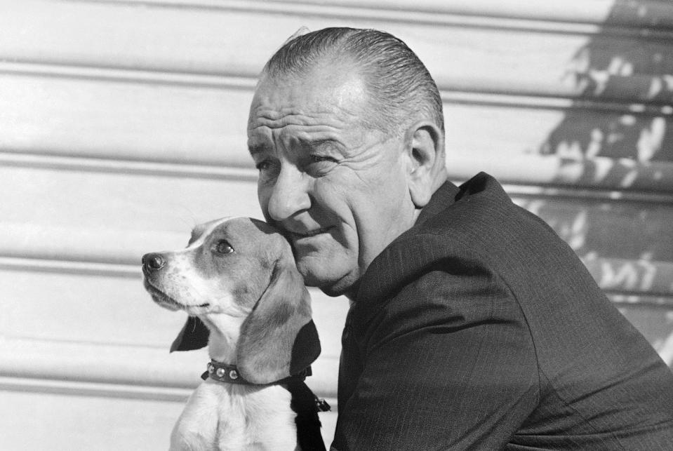 President Lyndon Johnson poses with his dog Freckles in 1966.