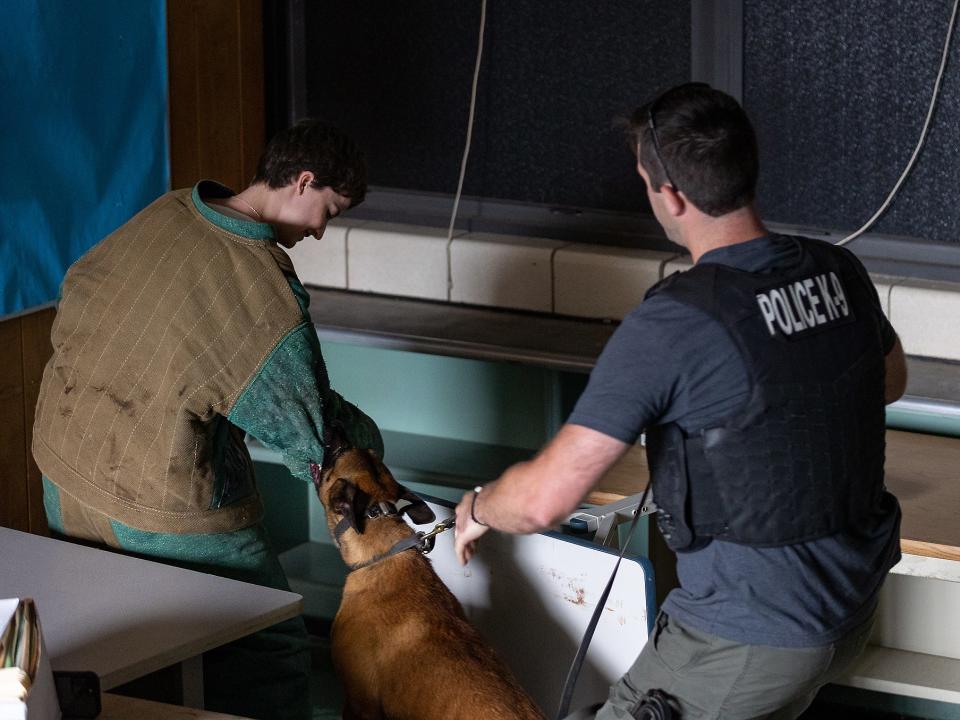 A person gets attacked by K-9 as a police officer holds the dog's leash.