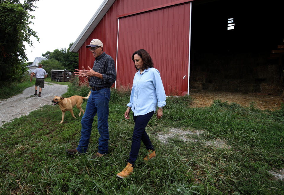 California Sen. Kamala Harris visits a farm as part of a five-day bus tour designed to show her commitment to competing in the Iowa caucuses. (Photo: Justin Sullivan via Getty Images)