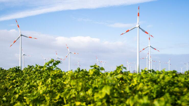 Besonders die Winter-Stürme im Februar trugen zu einer Rekordmenge an Windstrom bei. Foto: dpa