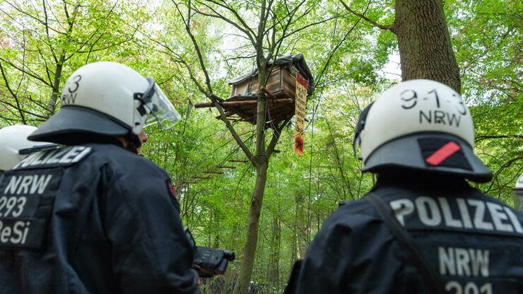 Sieg der Umweltschützer: Der Wald muss dem Tagebau nicht mehr weichen. Foto: dpa