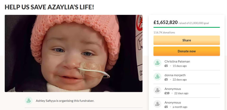 The fundraiser for Azaylia (Screengrab/GoFundMe)
