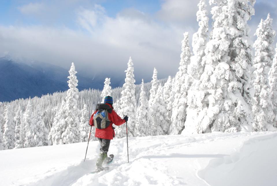 Hurricane Ridge can be explored with snowshoes at Olympic National Park.