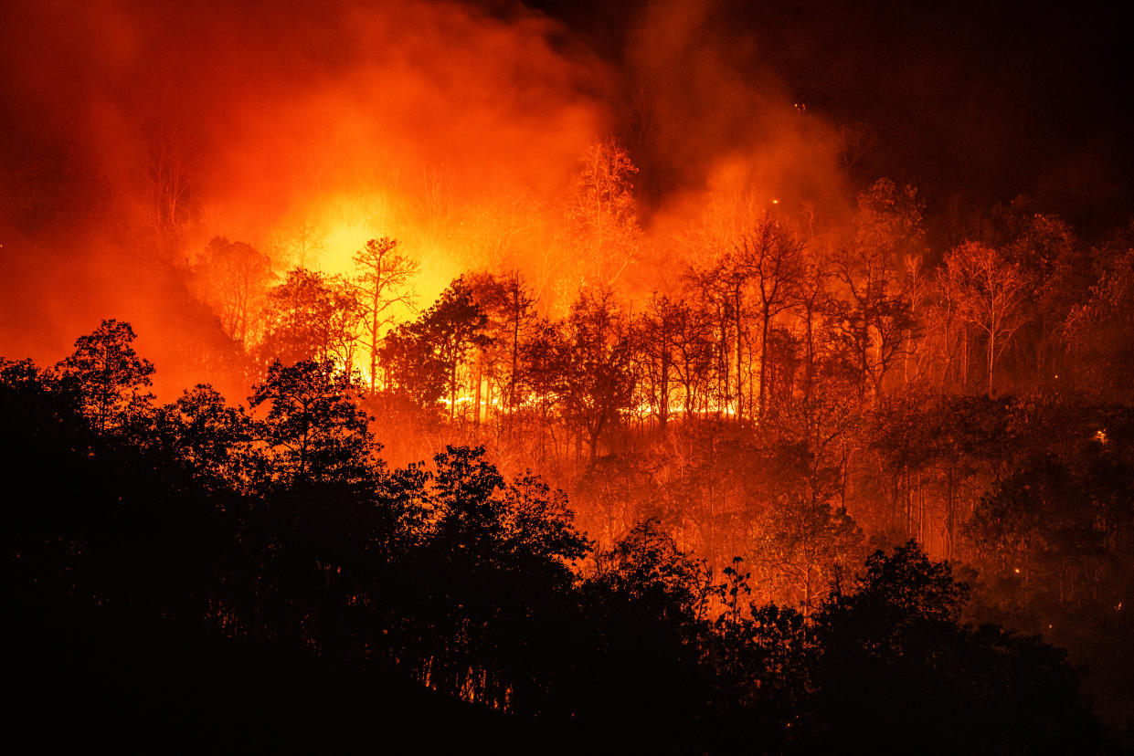 Mandatory evacuations have been enforced in some Californian communities as a result of ongoing wildfires. (Stock, Getty Images)