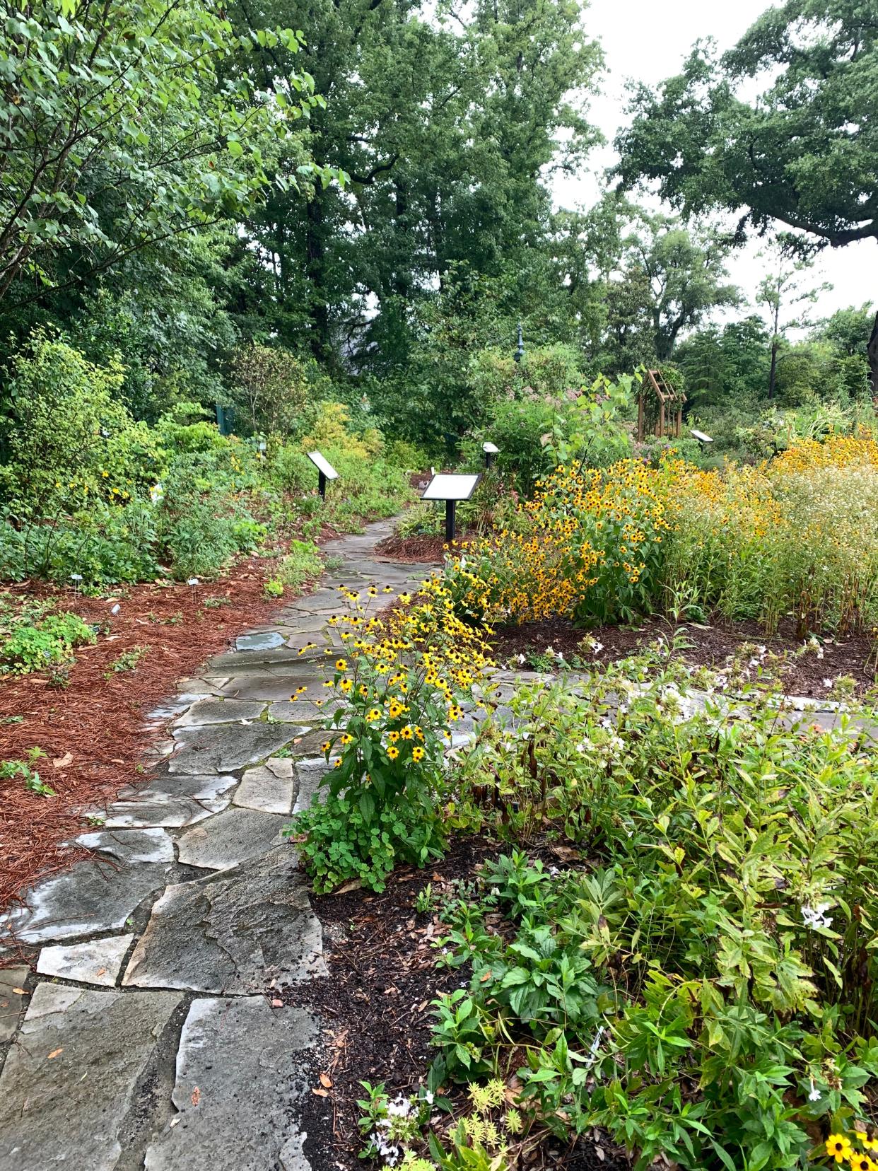 The native plant garden at the Arboretum is a smorgasbord for pollinators as well as a habitat for other wildlife.