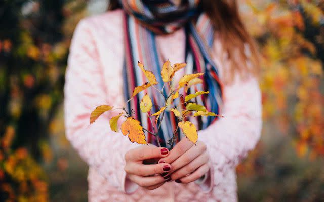 <p>Getty Images / iStockphoto</p>