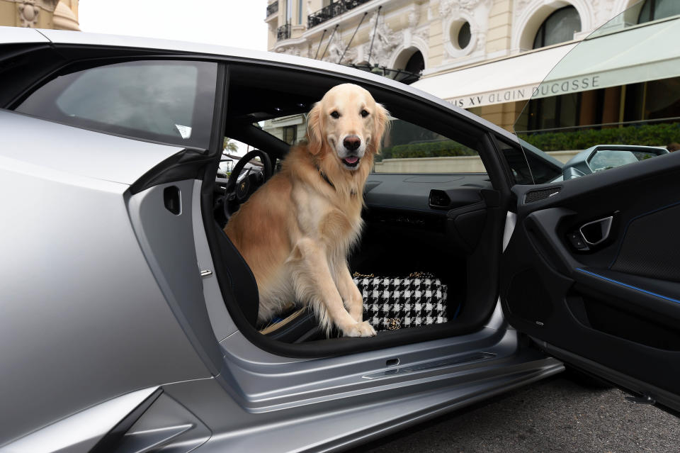 (Photo by Chris Ricco/Getty Images for Lamborghini)