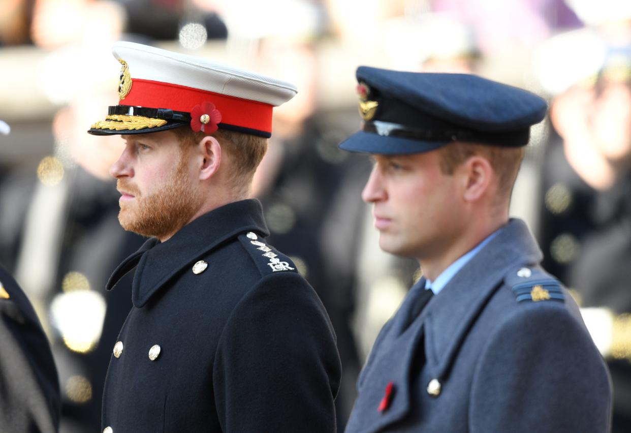 Prince William and Prince Harry