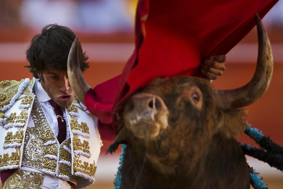 Spanish bullfighter Antonio Nazare performs with an Alcurrucen fighting bull during a bullfight of the San Fermin festival, in Pamplona, Spain, Sunday, July 7, 2013. Revelers from around the world arrive to Pamplona every year to take part on some of the eight days of the running of the bulls glorified by Ernest Hemingway's 1926 novel "The Sun Also Rises." (AP Photo/Daniel Ochoa de Olza)