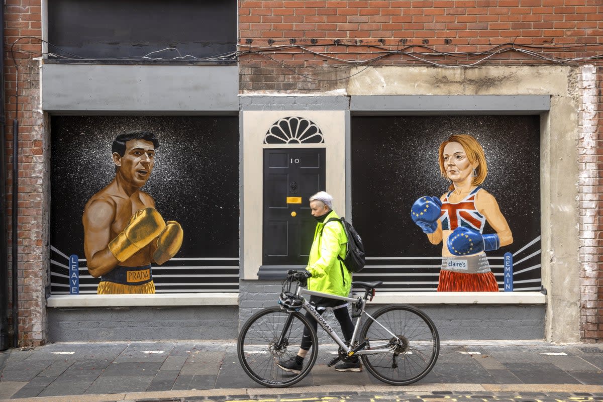 A women walks past a mural on Hill Street in Belfast by Ciaran Gallagher Art (PA) (PA Wire)