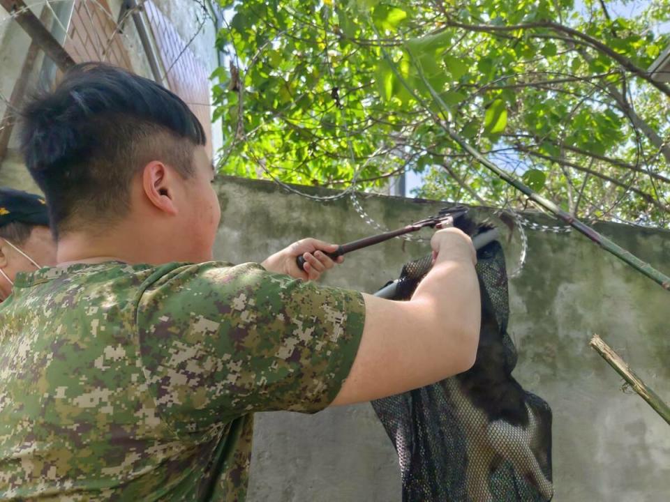 營區軍方人員利用壓力剪協助救助受困胖虎斑貓。   圖：新北市動保處提供