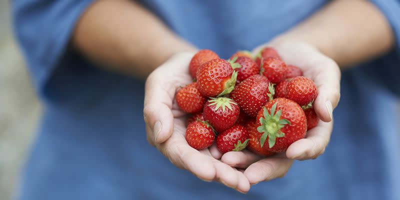 how to grow strawberries