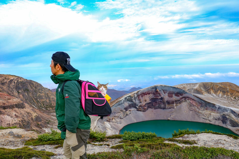 <p>Daisuke Nagasawa hikes with his beautiful cats, Fuku-Chan and Daikichi, in a backpack. (Photo: Daisuke Nagasawa/Caters News) </p>