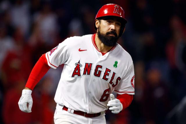 MLB investigating altercation between Los Angeles Angels' Anthony