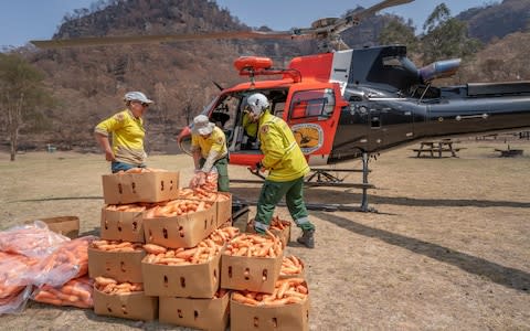 Helicopters have been loaded with carrots and sweet potato for a food drop to help wildlife  - Credit: HANDOUT/EPA-EFE/REX