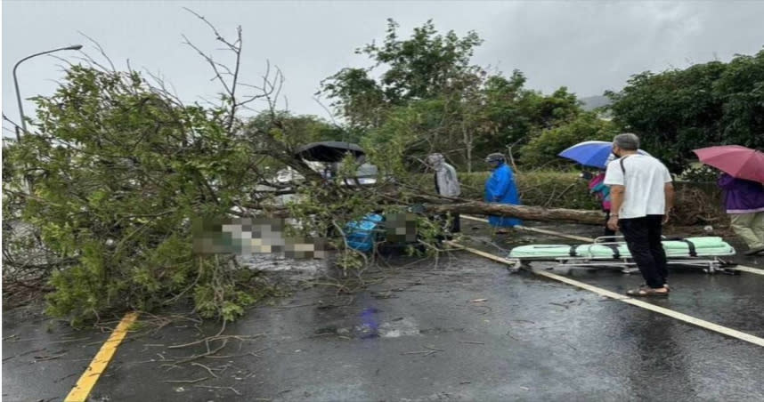 郵差遭路樹重擊，當場失去呼吸心跳。（圖／翻攝畫面）