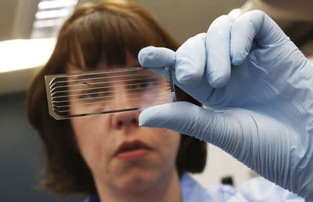 Molecular Genetics Technical Specialist Jaime Wendt looks at a slide containing DNA at the Human and Molecular Genetics Center Sequencing Core at the Medical College of Wisconsin in Milwaukee, Wisconsin, May 9, 2014. REUTERS/Jim Young