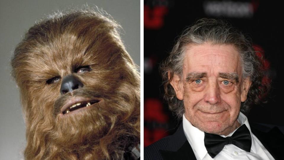 Peter Mayhew as Chewbacca 