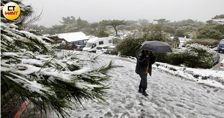 陽明山二子坪下雪。（圖／方萬民攝）