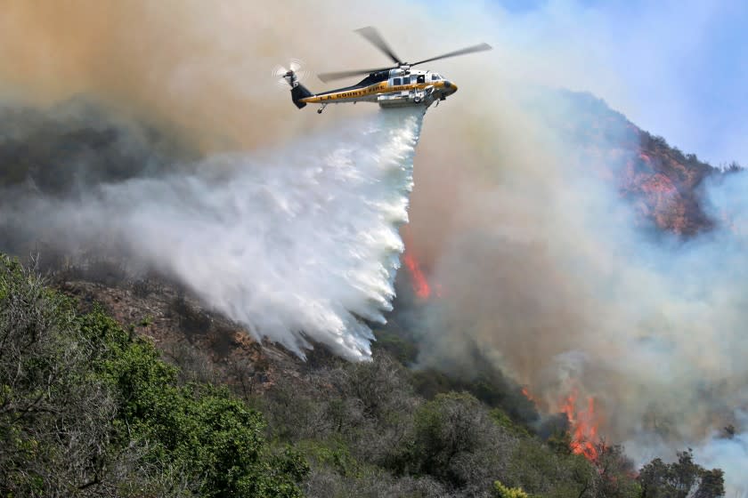 The 2017 Topanga Fire that started at the edge of Topanga Canyon Blvd about 1 mile north of PCH and quickly ran up the steep eastern slope. Very difficult access for ground personnel so there was heavy use of water dropping copters and Phos-Chek dropping aircraft. (Greg Doyle / Topanga Coalition for Emergency Preparedness)