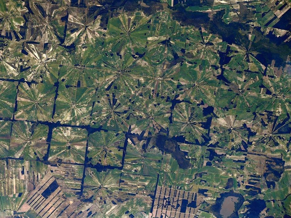 agricultural areas make star-like patterns in the rainforest of bolivia