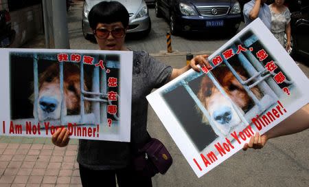 Animal activists hold banners against Yulin Dog Meat Festival in front of Yulin City Representative office in Beijing, China, June 10, 2016. REUTERS/Kim Kyung-Hoon