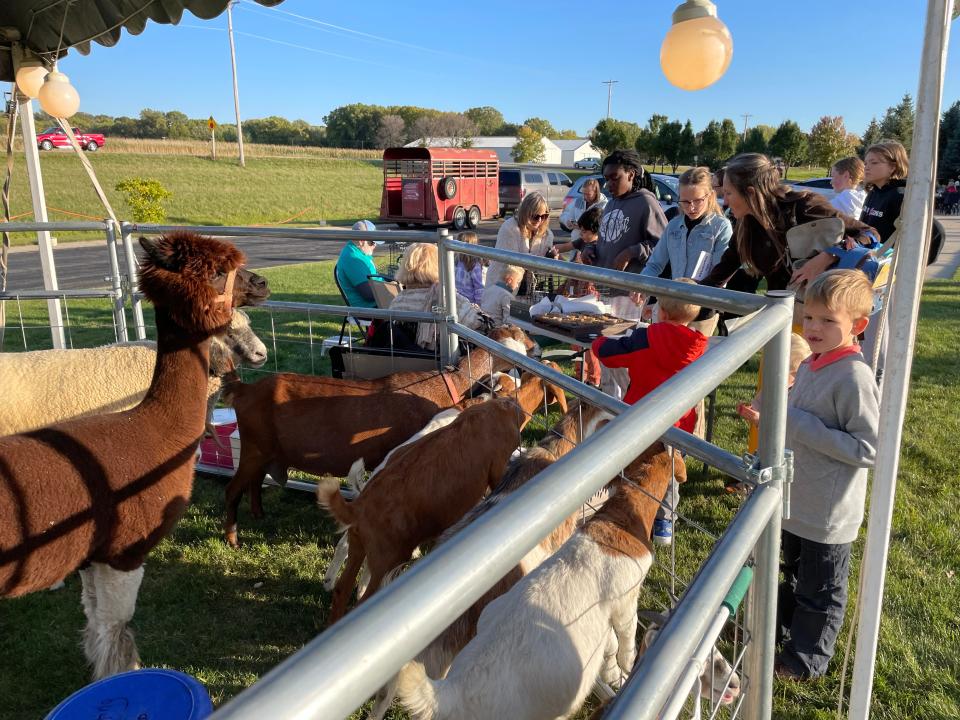 Farm animals such as goats and alpacas from Cristo Rey Ranch can be seen at Holy Family’s Oktoberfest on Oct. 7.