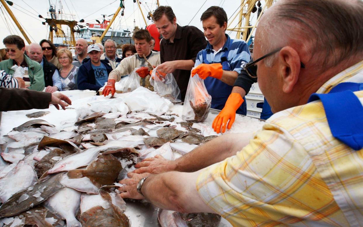 People queue to get free fish at Zeebrugge port in 2008. Belgian fishermen gave away a ton of plaice fish on a day of protest against the European Commission's fishing quotas - Reuters