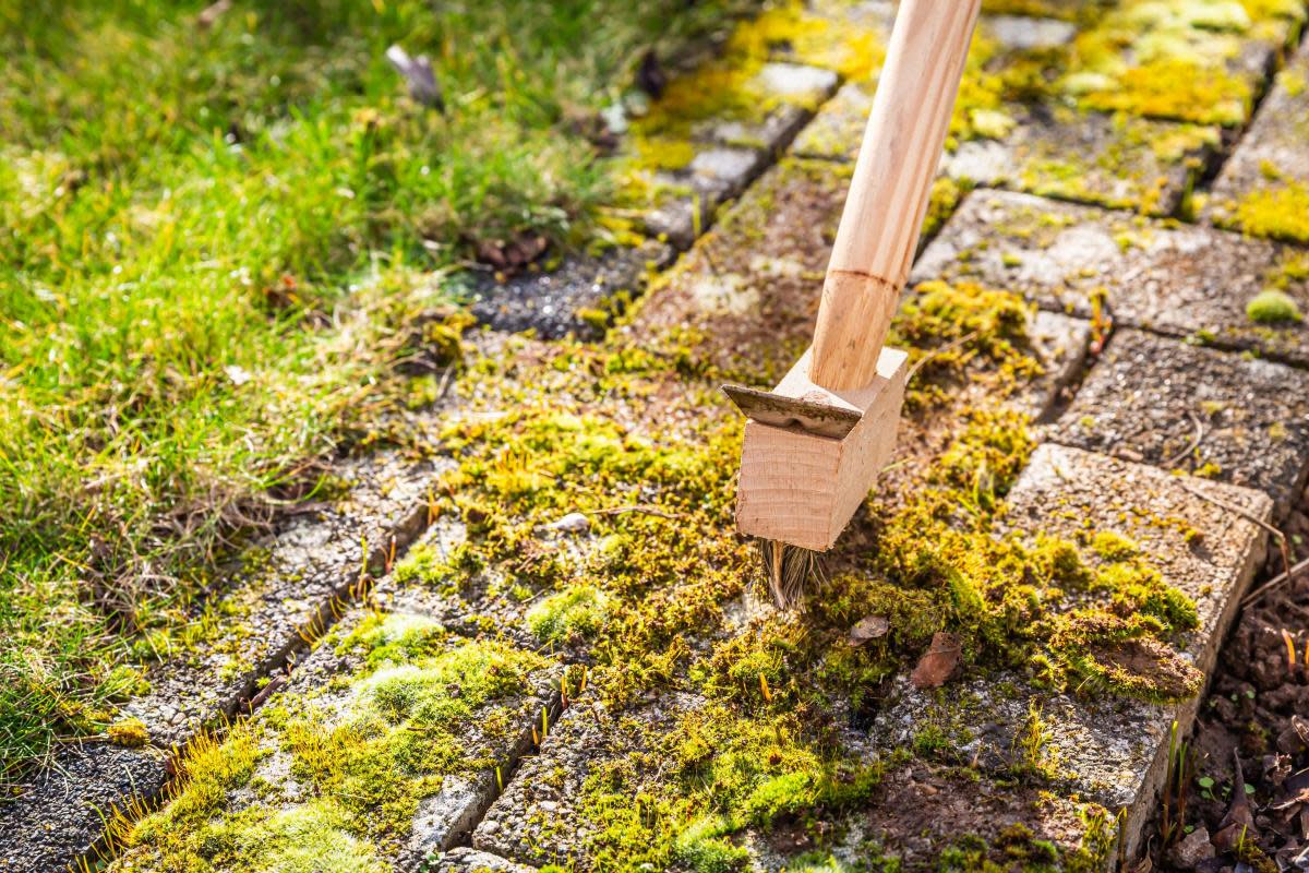 Moss on a garden patio can be a dangerous hazard when it becomes wet <i>(Image: Getty)</i>