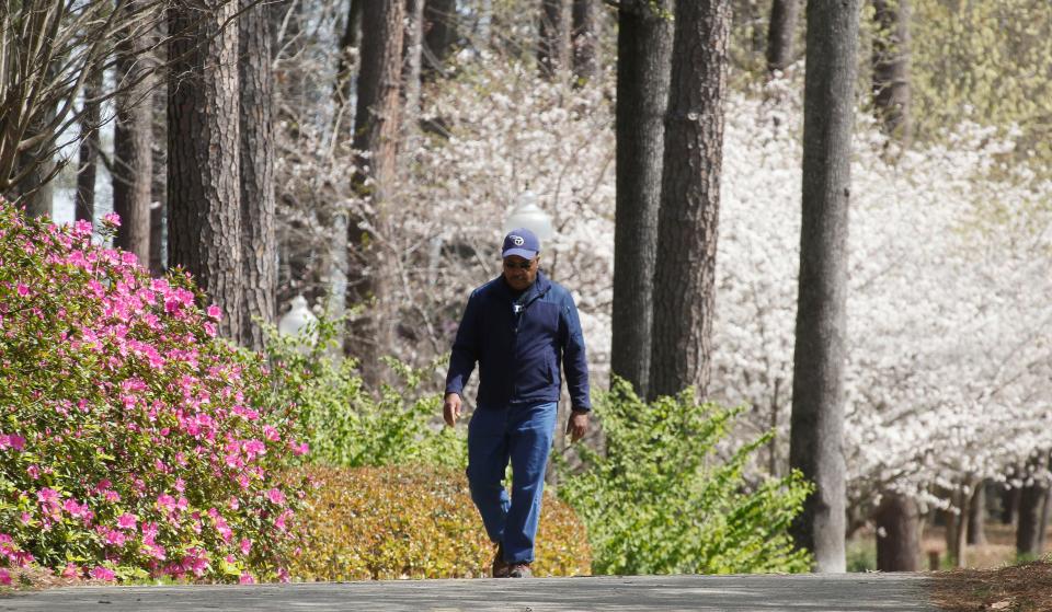James Tucker walks along the Tuscaloosa Riverwalk trail with signs of spring blossoming around him from an azalea bush and a cherry tree Monday, March 18, 2019. [Staff Photo/Gary Cosby Jr.]