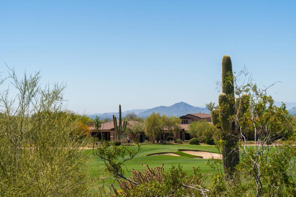 Foliage and cacti inn front of a golf course in front of homes in front of a mountain range