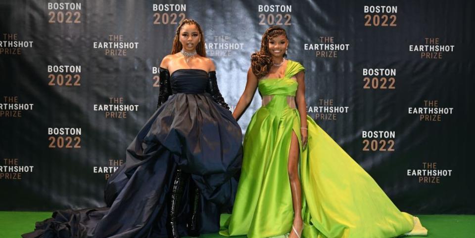 the earthshot prize 2022 green carpet arrivals