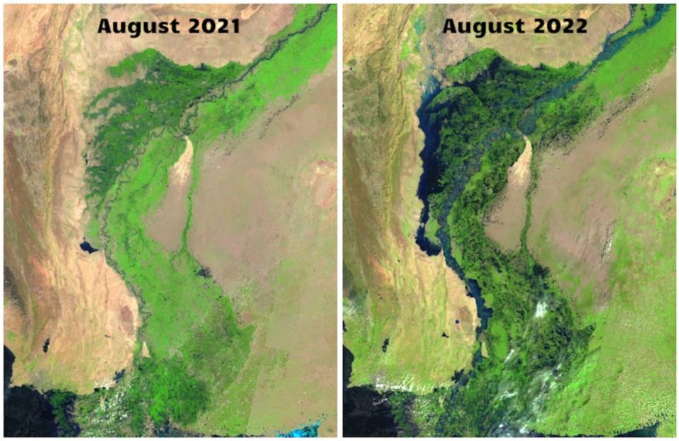 Landsat satellite images showing a side-by-side comparison of southern Pakistan in August 2021 (one year before the floods) and August 2022 (right) Qiusheng Wu, NASA Landsat