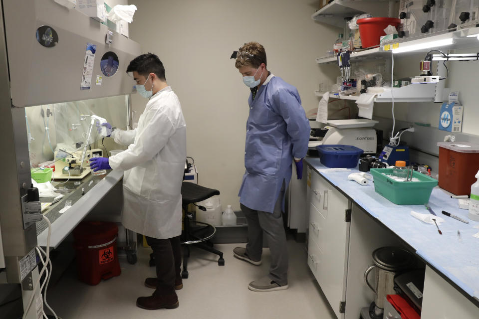In this Jan. 14, 2020 photo, Herman Tung, left, a research associate at the Allen Institute, processes a piece of live brain tissue as Nick Dee, right, manager of the tissue processing lab, looks on in Seattle. The brain tissue was donated by Genette Hofmann who underwent brain surgery for epileptic seizures. As part of the surgery, Hofmann agreed to donate a small bit of her healthy brain tissue to researchers at the institute, who were eager to study brain cells while they were still alive, joining a long line of epilepsy patients who've helped scientists reveal basic secrets of the brain. (AP Photo/Ted S. Warren)