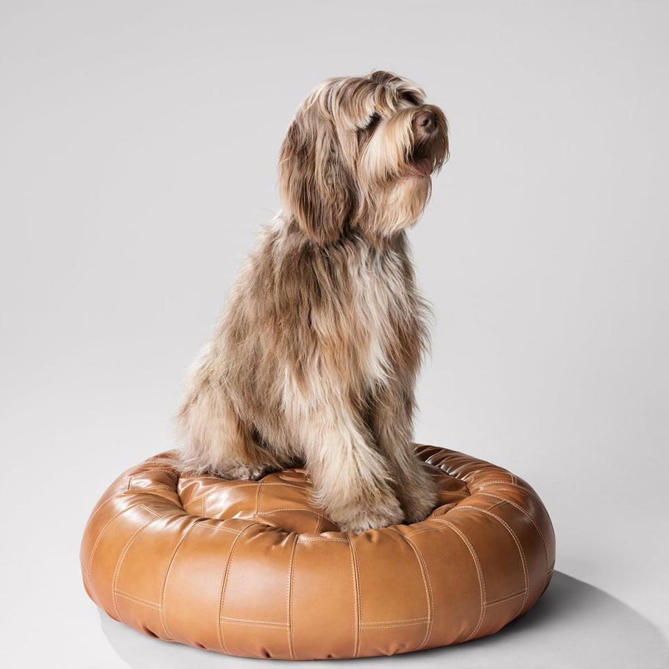 Elvis atop his leather Celine pouf (Celine)