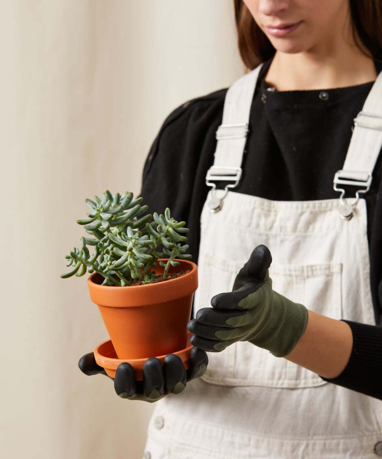 Bloomscape Garden Gloves