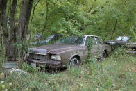<p>Chevrolet downsized the Monte Carlo in 1978, chopping 15in off its length, and shedding more than 700lb. The automobile-buying public were clearly happy with the new dimensions, as the third-generation cars sold well. This is one of <strong>317,000</strong> to leave the showrooms in 1979.</p>