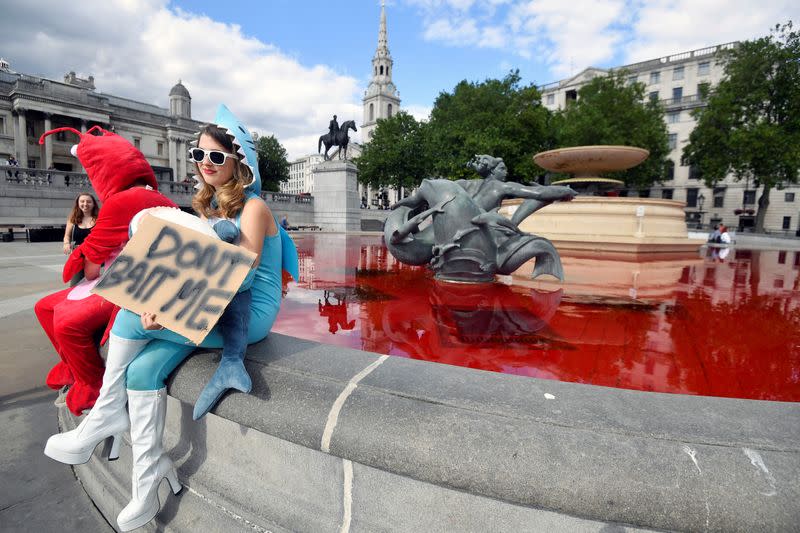 Animal rights activists sit at a fountain whose water was turned red after protesters poured coloured dye into the clear water, on Trafalgar Square in London