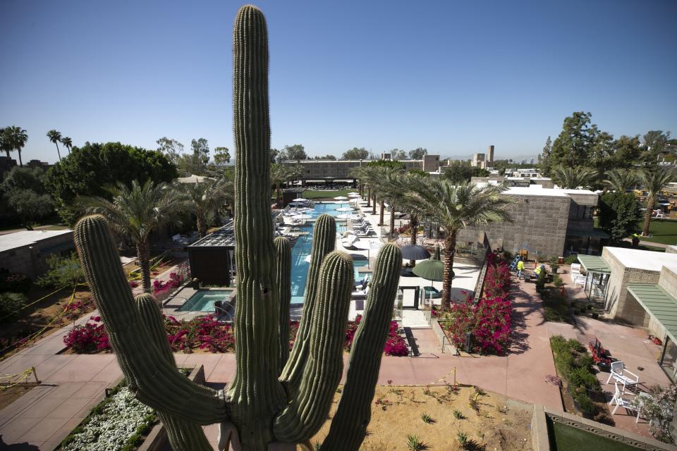 A saguaro cactus estimated to be 150 years old overlooks the new adult-only Saguaro Pool at the Arizona Biltmore in Phoenix on April 9, 2021.
