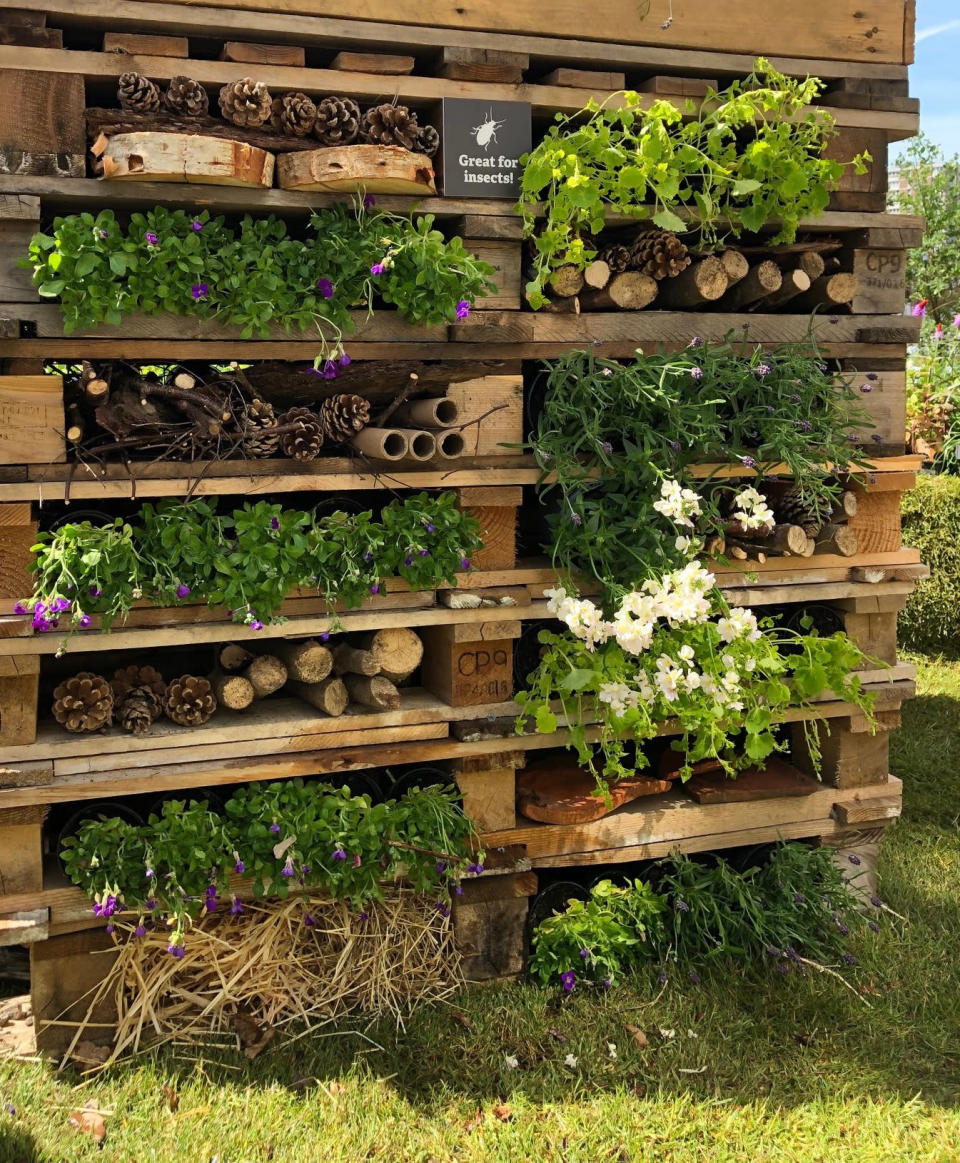 <p> Learning&#xA0;how to make a bug hotel&#xA0;is a project that the whole family can take part and take pride in. It&apos;s also a great way to tidy up your patch.&#xA0; </p> <p> Start by creating a solid timber frame &#x2013; a neat pile of wood pallets held firmly in place with timber stakes is a quick and easy option. Once everything is secure, fill the gaps with nesting materials. Try using everything from straw, twigs, pinecones, garden prunings, wood offcuts and even roof tiles.&#xA0; </p> <p> Repeat some of the materials in different slots for a cohesive rather than chaotic look, and remember to plant up the occasional gap with compost and flowering creepers such as nasturtiums, heartsease and English lavender.&#xA0; </p>