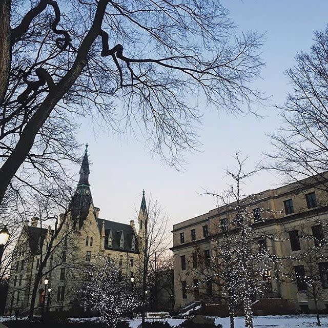 29) Northwestern University