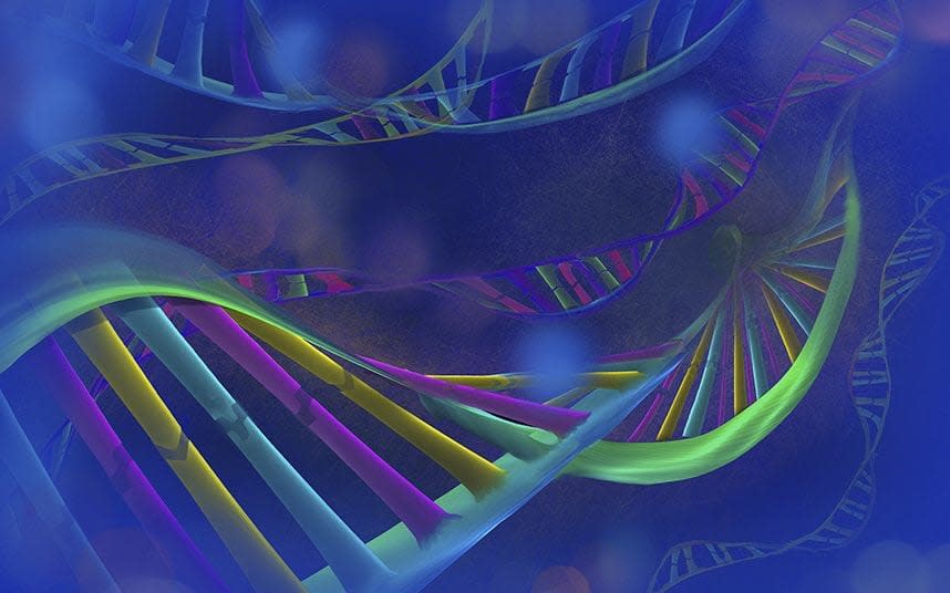 The same gene areas were linked to obesity and loneliness suggesting a causal link  - Copyright (c) 2014 Rex Features. No use without permission.