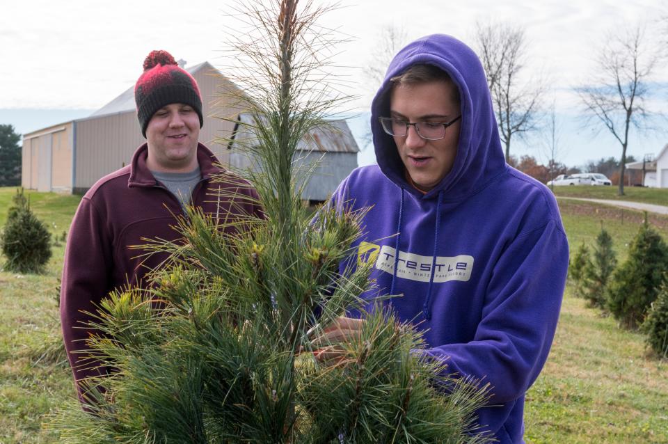 Alex Vantlin, left, smiles as his brother Shane Vantlin, right, tags their family Christmas tree at Sycamore Valley Tree Farm located at 7120 New Harmony Road in Evansville, Ind., Friday morning, Nov. 26, 2021.