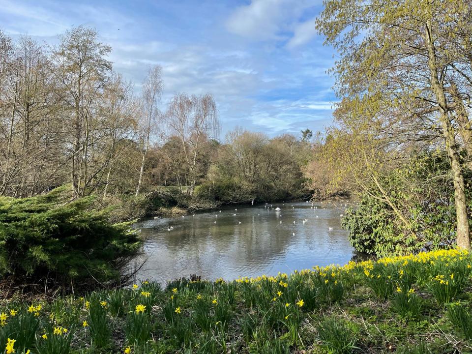 <p>Kelsey Park in Beckenham</p> (Elliot Wagland)