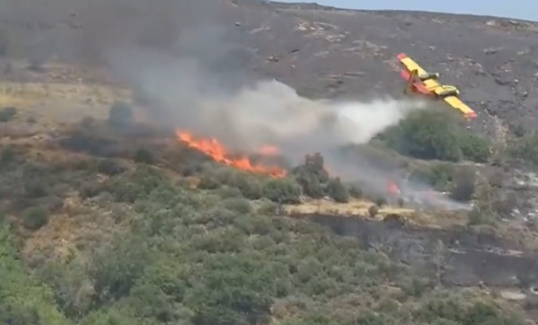 A plane fighting wildfires in Greece has crashed as blazes ravage the country (EPT/Twitter)