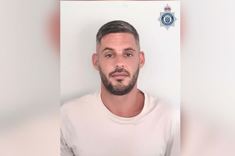 Jack Watson, 35, of Hartfield Avenue, Brighton, had previously pleaded guilty to dangerous driving, aggravated vehicle taking, driving while disqualified and driving without insurance.