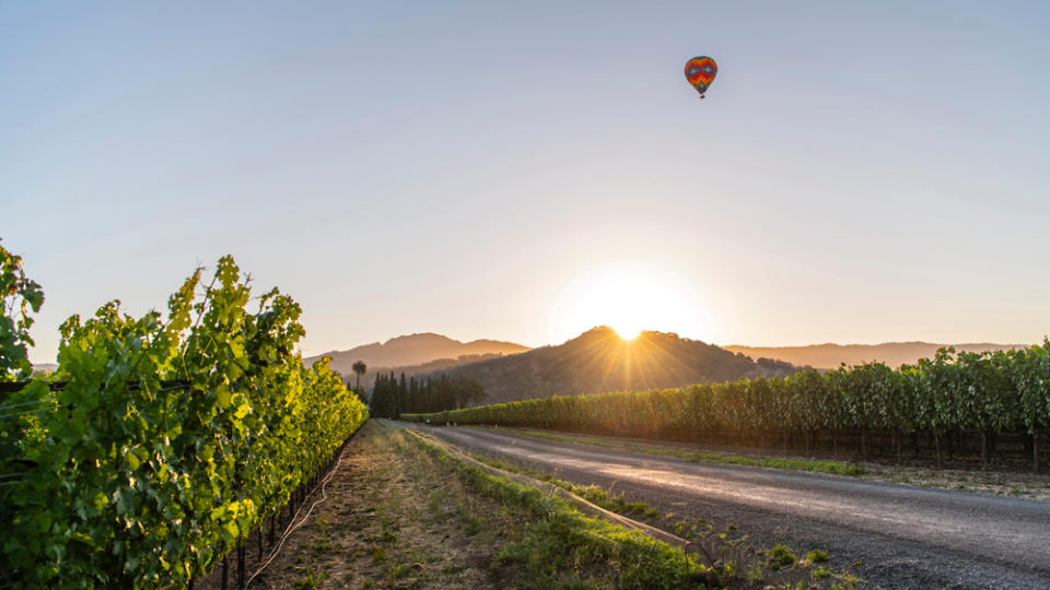 A hot-air balloon flight elevates downtime during the Esperienza in Sonoma. - Credit: Drew Phillips, courtesy of Automobili Lamborghini S.p.A.